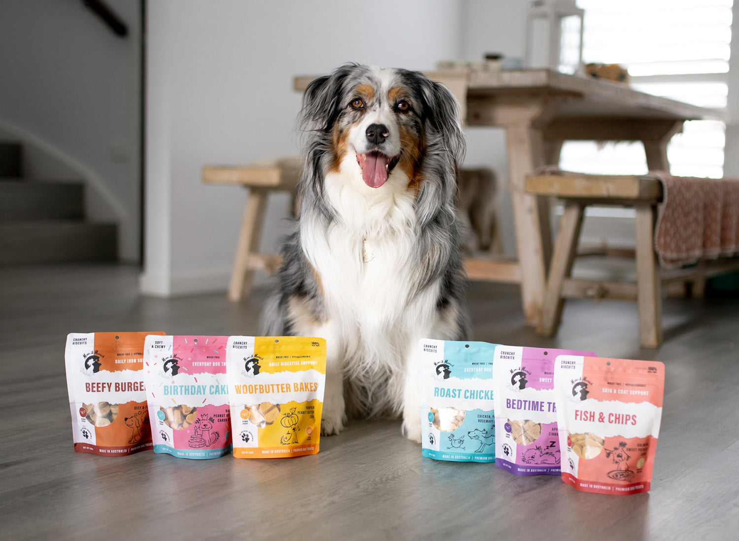 Understanding Dog Allergies & Sensitivities.