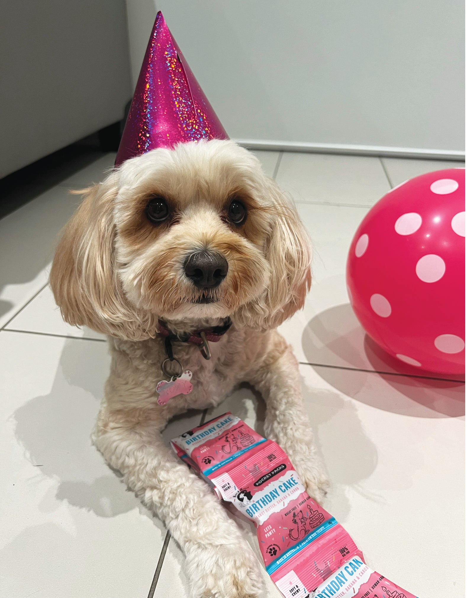 Birthday Cake Soft & Chewy Natural Dog Treats - Pocket Packs (5 Mini Packs)