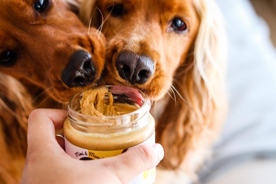 Bambi's Butter Natural Dog Peanut Butter - Mimi & Munch AU - Pooch Peanut Butter