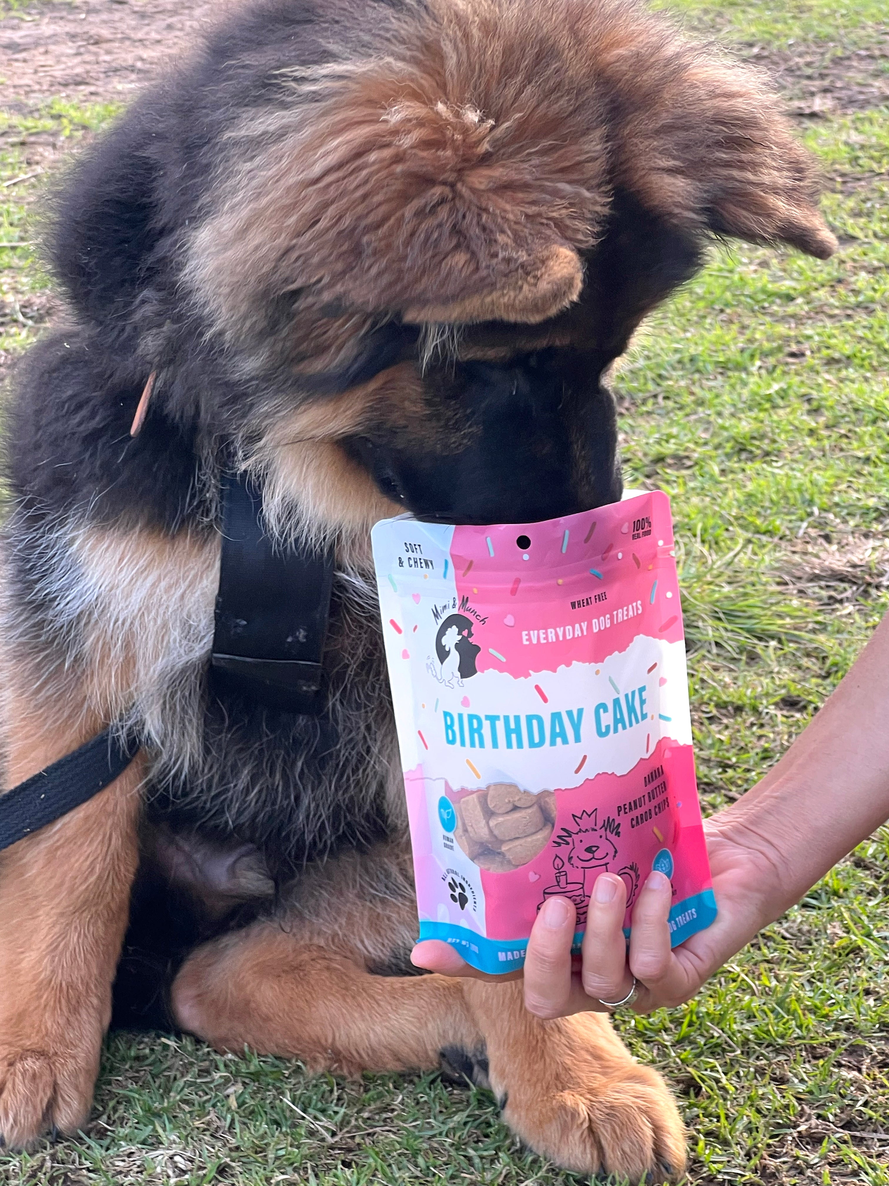 Happy dog enjoying slow-baked, human-grade food and treats from Mimi & Munch Australia