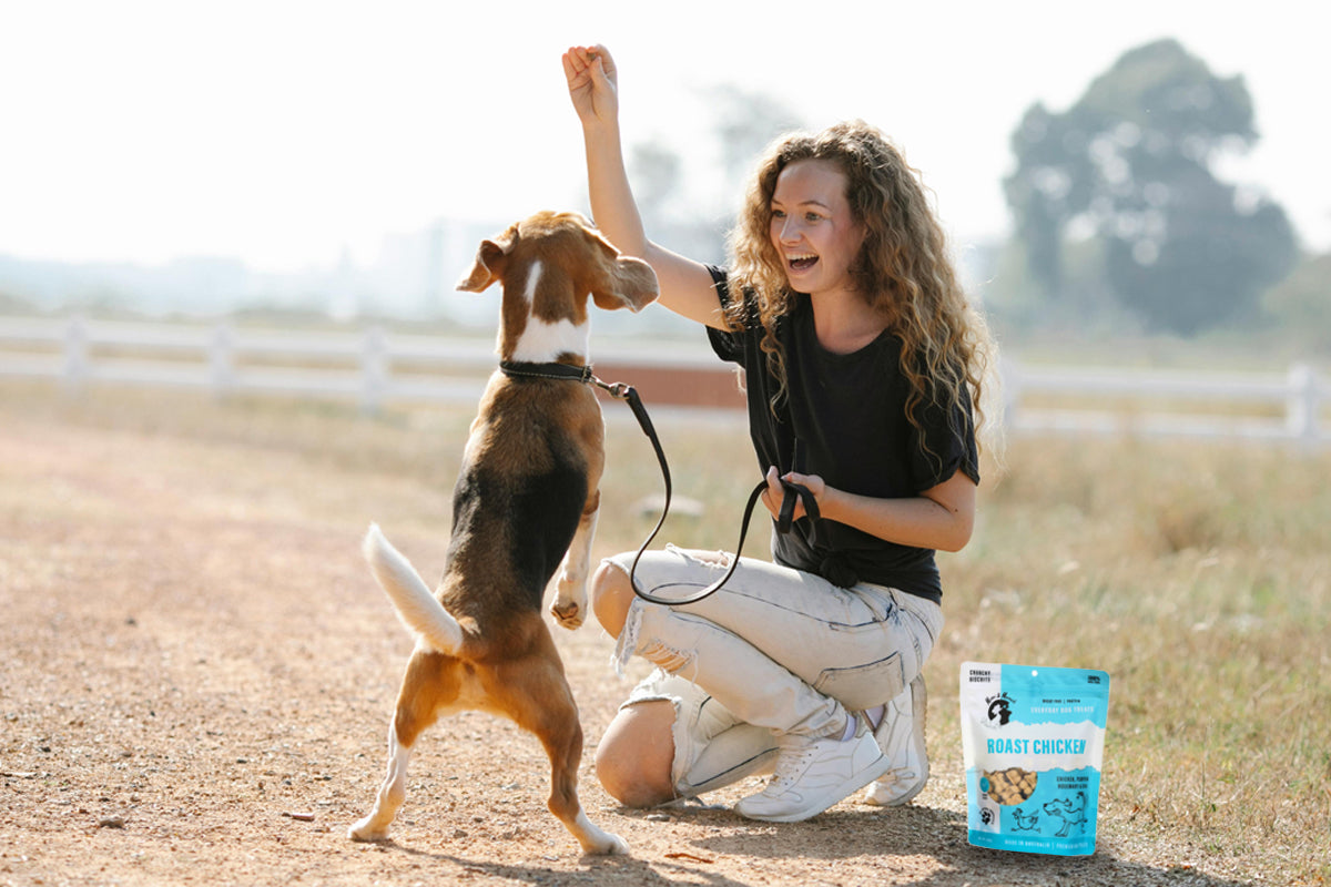 The Power of Healthy Rewards: Building a Lasting Bond with Your Dog