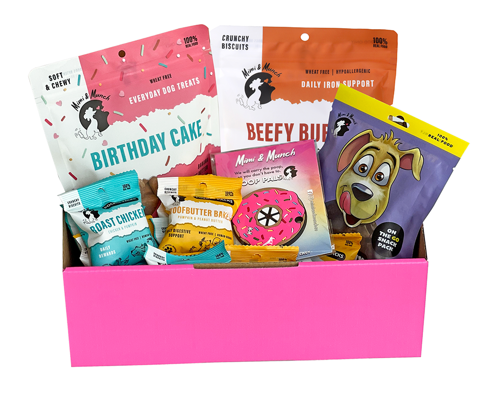 Birthday Dog Treat Bundle
